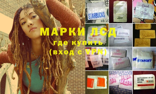 сатива Володарск
