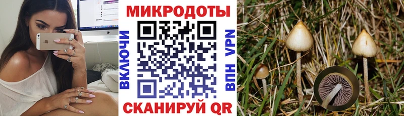купить наркотик  Калачинск  Галлюциногенные грибы мицелий 