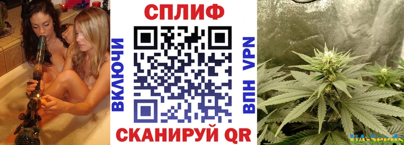 Каннабис сатива  Калачинск 